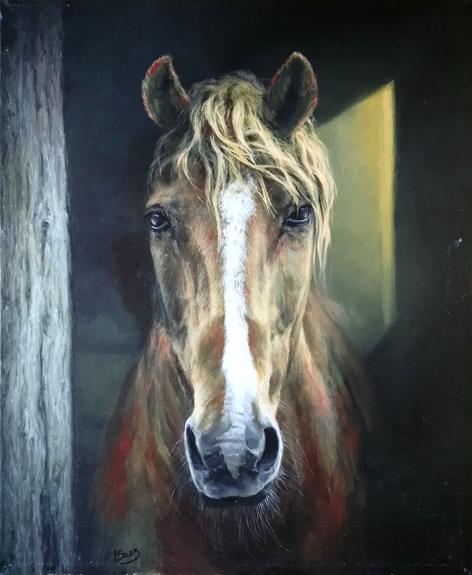 peinture à l'huile Portrait de cheval